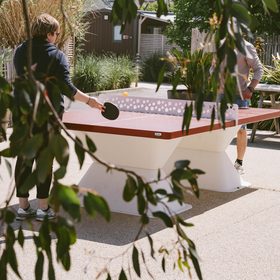Ping-pong